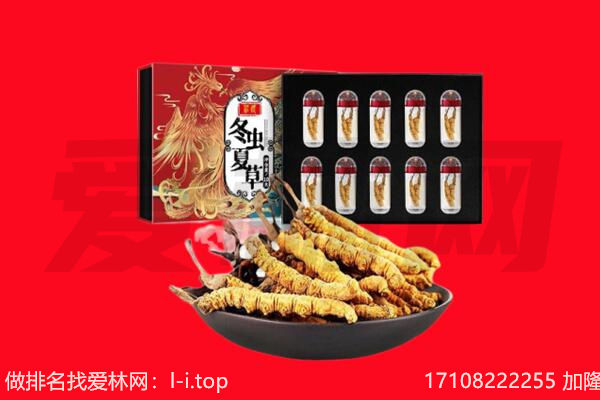 成都崇州市回收虫草.jpg